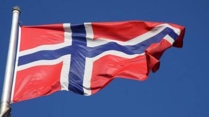 Норвежский депутат стал невыездным из-за дружбы с дипломатами РФ