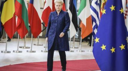 Литва требует от НАТО сомкнуть ряды