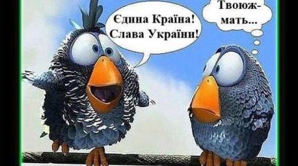 Новости дна Новости дна