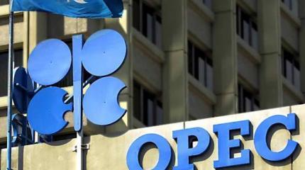 Выручка ОПЕК в 2015 году может сократиться на $316 млрд