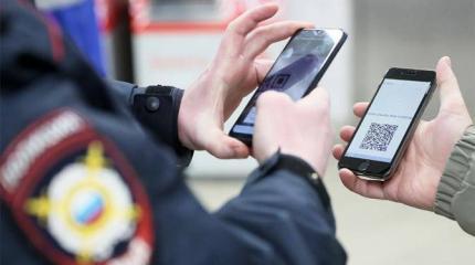 Электронными пропусками власти роют себе могилу Электронными пропусками власти роют себе могилу