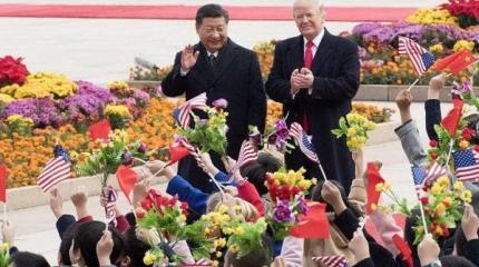 Мятущийся тигр, улыбающийся дракон Мятущийся тигр, улыбающийся дракон