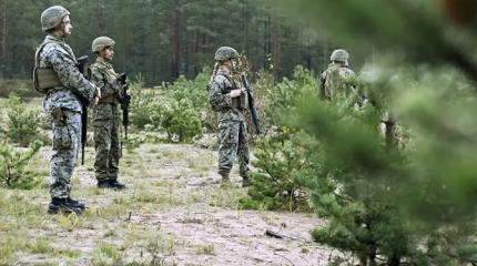 Финны намерены поквитаться с русскими за «Зимнюю войну»