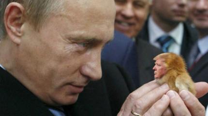 СМИ о «битве титанов» в Гамбурге: Трамп выжил после встречи с Путиным СМИ о «битве титанов» в Гамбурге: Трамп выжил после встречи с Путиным