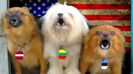 Прибалтика из комплекса неполноценности считает себя Скандинавией Прибалтика из комплекса неполноценности считает себя Скандинавией