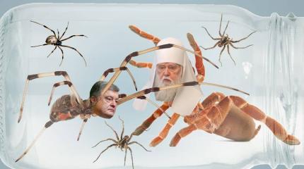 Томосюки в банке