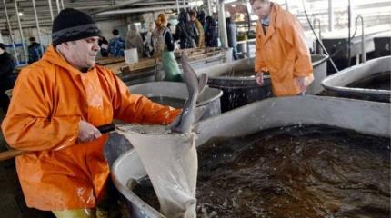 Учитель немецкого из Литвы "потерялся" в Евросоюзе Учитель немецкого из Литвы "потерялся" в Евросоюзе