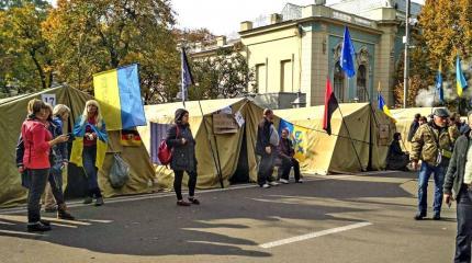 Мишмайданчик Колорадского Таракана Мишмайданчик Колорадского Таракана