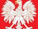 Польский МИД тратит деньги не на диаспоры, а на белорусскую оппозицию Польский МИД тратит деньги не на диаспоры, а на белорусскую оппозицию