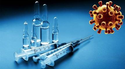 Вакцинация как разновидность войны Вакцинация как разновидность войны