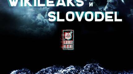 Wikileaks срывает покровы: европейцы топят детей беженцев Wikileaks срывает покровы: европейцы топят детей беженцев