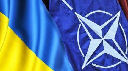 НАТО потребовало от Киева начать прямые переговоры с Новороссией