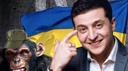 В Греции – грандиозный скандал из-за выступления Зеленского В Греции – грандиозный скандал из-за выступления Зеленского