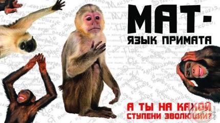 Сквернословишь от несостоятельности
