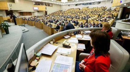 «Бред сивой кобылы»: депутаты раскритиковали закон о «суверенном рунете»