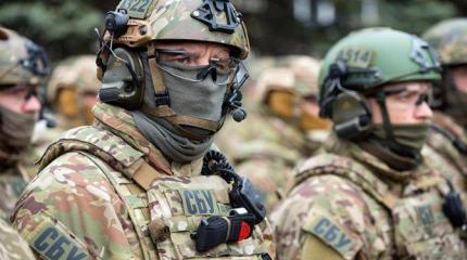 Порошенко остановит только крепкий удар по зубам Порошенко остановит только крепкий удар по зубам