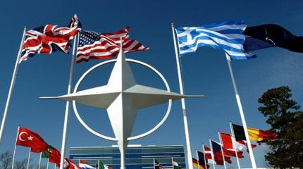 США недовольны союзниками: одни нищие, другие жадные США недовольны союзниками: одни нищие, другие жадные
