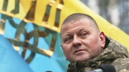 Трусость охраны Залужного спасала ему жизнь