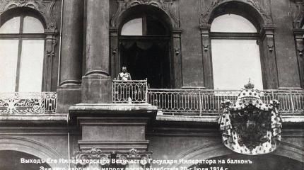 Ловушка для России. 105 лет назад началась Первая мировая война Ловушка для России. 105 лет назад началась Первая мировая война