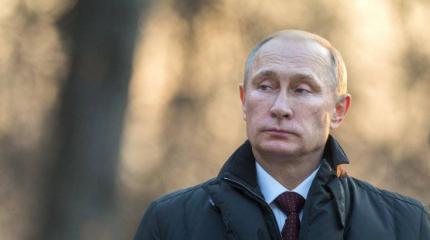 Невозмутимая реакция Путина на падение цены на нефть – это только видимость Невозмутимая реакция Путина на падение цены на нефть – это только видимость