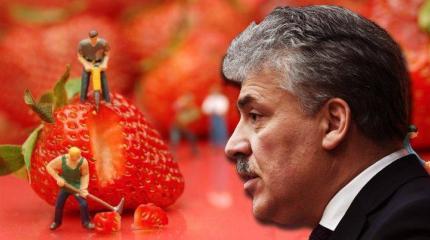 «Оазис социализма» Павла Грудинина: интересно продал земли «Оазис социализма» Павла Грудинина: интересно продал земли