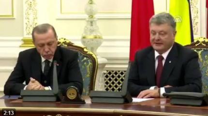 Эрдоган проявил вежливость, в полудреме высказавшись о Крыме Эрдоган проявил вежливость, в полудреме высказавшись о Крыме