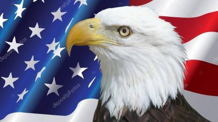 США не тот союзник, с которым побеждают США не тот союзник, с которым побеждают