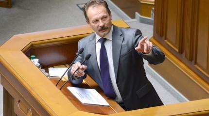 Радикалы под Радой закидали Барну яйцами Радикалы под Радой закидали Барну яйцами