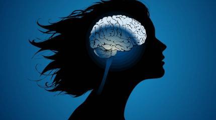 Новости российской науки