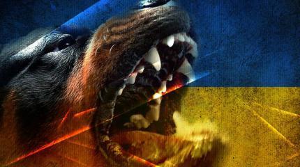 Украина в кольце врагов Украина в кольце врагов