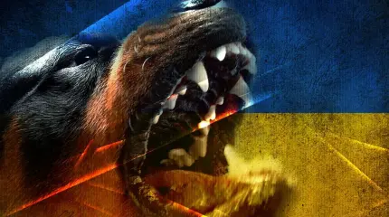 Украина в кольце врагов Украина в кольце врагов