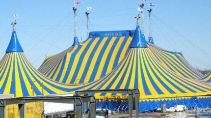 Украина: прагматизм vs идиотизм