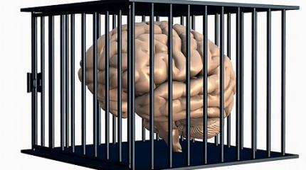 Система образования Латвии будет создавать «правильных» граждан Система образования Латвии будет создавать «правильных» граждан