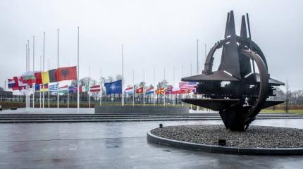Европейцы не верят в единство НАТО, альянс не оставляет в покое Европу Европейцы не верят в единство НАТО, альянс не оставляет в покое Европу