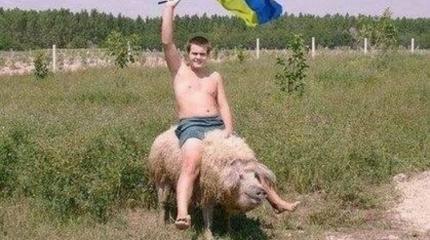 Украинцы в ярости от «оскорблений» поляков: курв своих забором загородите Украинцы в ярости от «оскорблений» поляков: курв своих забором загородите