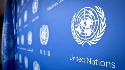 ООН: число жертв конфликта на Украине в июле стало рекордным за год ООН: число жертв конфликта на Украине в июле стало рекордным за год