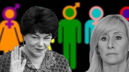"Гендерасты" атаковали защитников традиционных ценностей "Гендерасты" атаковали защитников традиционных ценностей