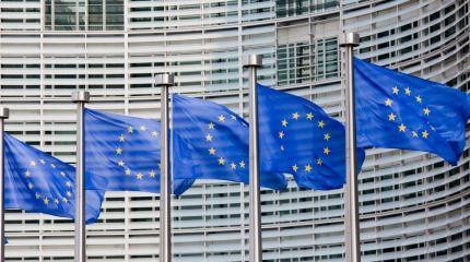 Аномалия, цирк и агрессия: в России оценили доклад Европарламента Аномалия, цирк и агрессия: в России оценили доклад Европарламента
