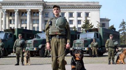 Украина: "гуманная" утилизация Украина: "гуманная" утилизация