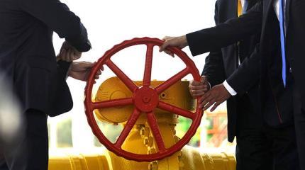 Торг до первых холодов Торг до первых холодов