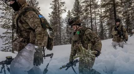 Стратегический разворот Финляндии в Арктике: геополитика в ущерб регионам