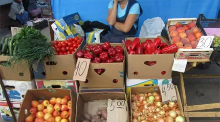 Сельское хозяйство Украины доведено до ручки