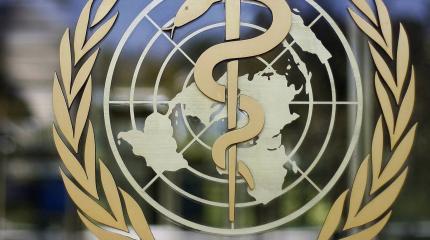 Организация всемирной содомизации Организация всемирной содомизации