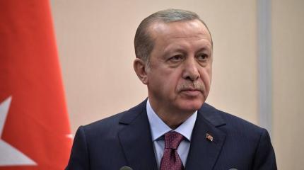 Эрдоган выступил за отправку миротворческих сил для защиты палестинцев Эрдоган выступил за отправку миротворческих сил для защиты палестинцев