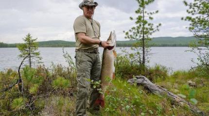 Daily Telegraph: «Крепкий орешек» Путин не перестает удивлять Daily Telegraph: «Крепкий орешек» Путин не перестает удивлять