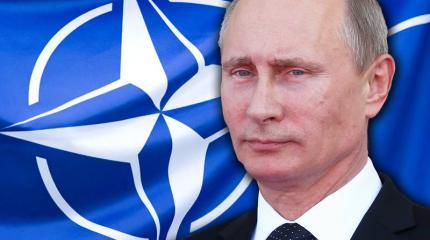 Путин ответил за НАТО Путин ответил за НАТО