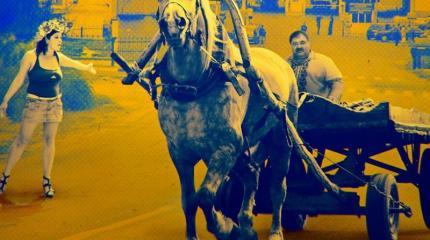 Украина идет на попятную