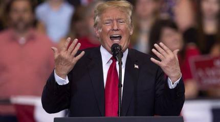 Трамп в посудной лавке Трамп в посудной лавке