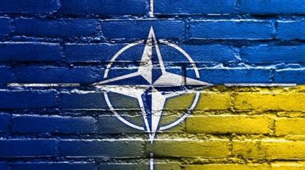 Украине назвали условия для вступления в НАТО Украине назвали условия для вступления в НАТО
