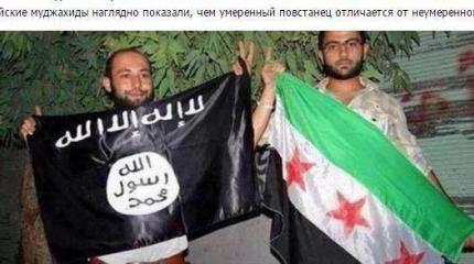 Потерялась "умеренная оппозиция". Особые приметы: вооружена и очень опасна